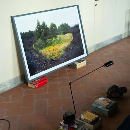 Impressive Renaissance With Elevator *